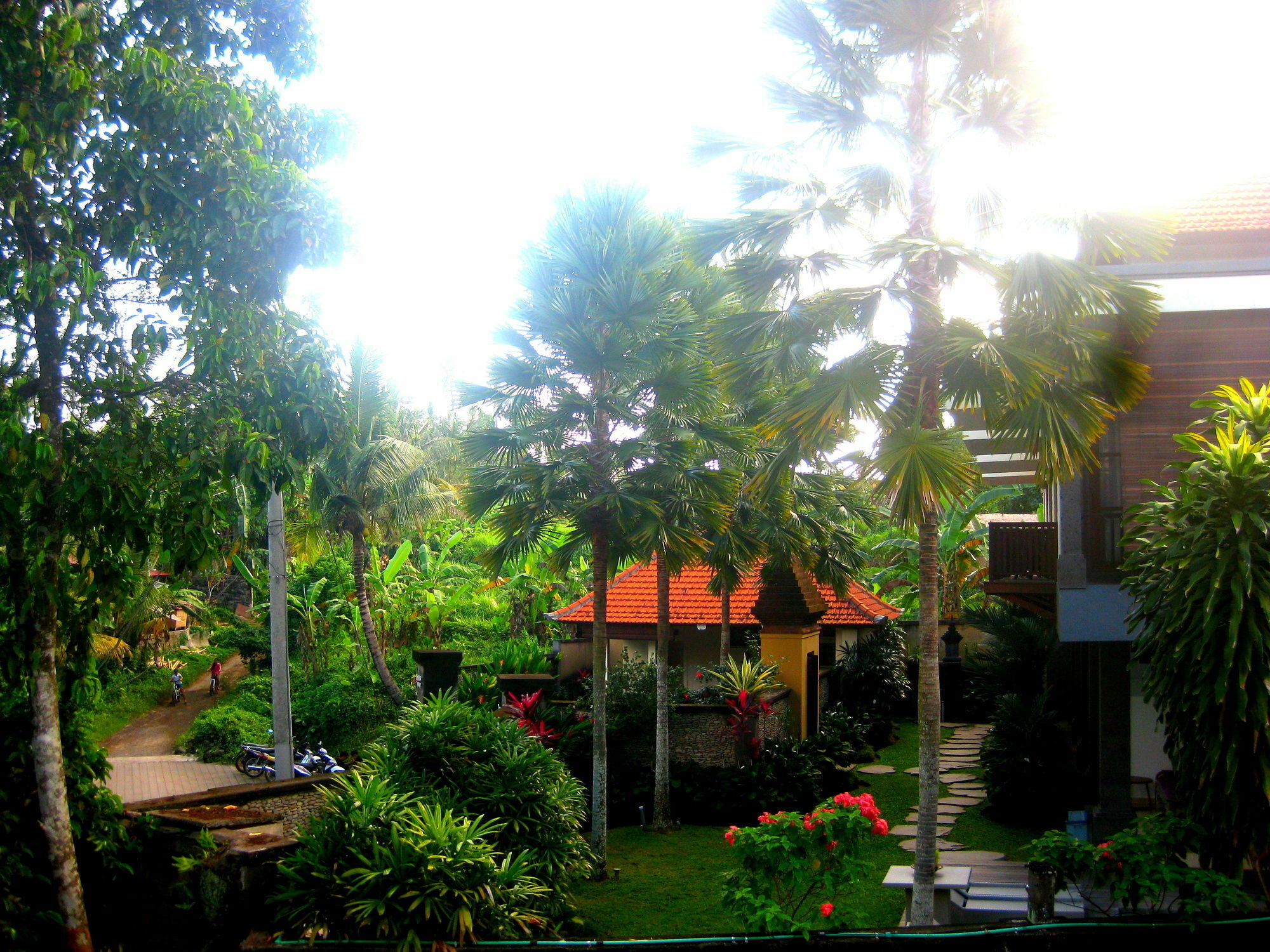 Villa Sonia Bisma Ubud  Luaran gambar