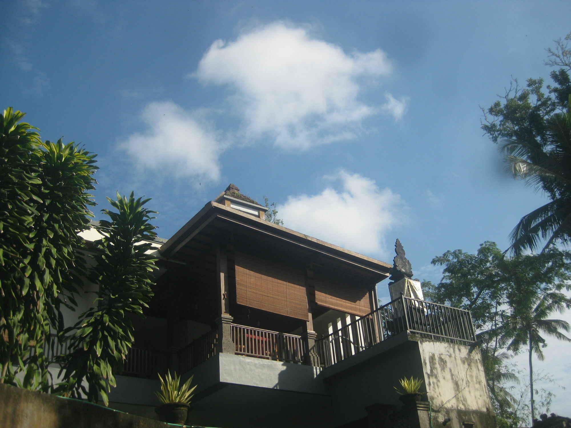 Villa Sonia Bisma Ubud  Luaran gambar